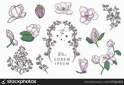 Beauty lavender,magnolia collection.Vector illustration for icon,sticker,printable and tattoo