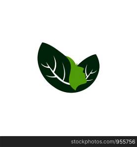 beauty leaf logo template
