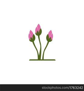 Beauty Lotus flowers logo icon design template vector 