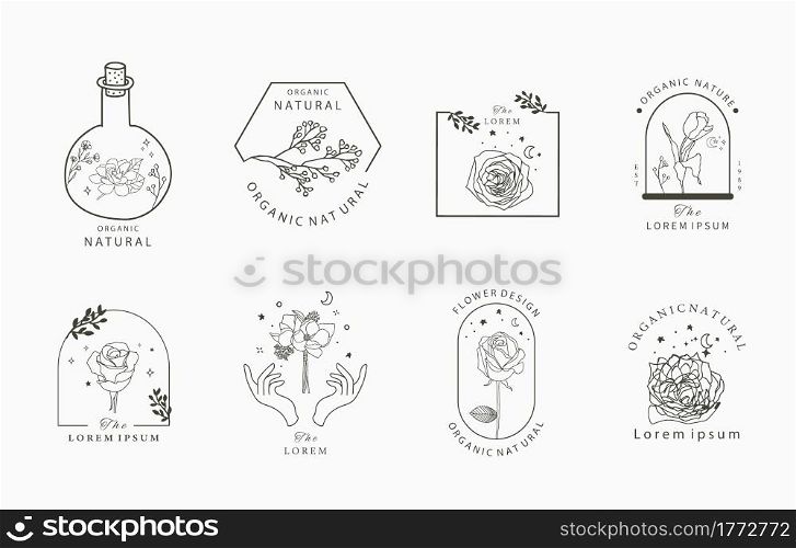 Beauty occult collection with geometric,magnolia,rose,moon,star,flower.Vector illustration for icon,sticker,printable and tattoo