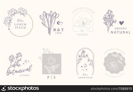 Beauty occult design collection with geometric,tulip,lavender,magnolia.Vector illustration for icon,sticker,printable and tattoo