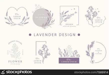 Beauty occult design collection with lavender.Vector illustration for icon,sticker,printable and tattoo