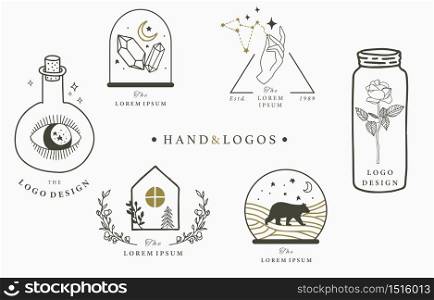 Beauty occult logo collection with hand, flower, rose.Vector illustration for icon,logo,sticker,printable and tattoo