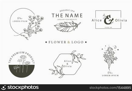 Beauty occult logo collection with tree,flower,feather.Vector illustration for icon,logo,sticker,printable and tattoo