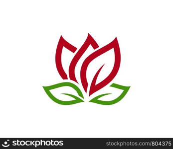 Beauty Vector Lotus flowers design logo Template icon