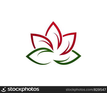 Beauty Vector Lotus flowers design logo Template icon