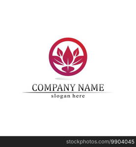 Beauty Vector lotus flowers design logo Template icon