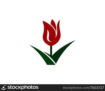 Beauty Vector Tulip flowers design logo Template icon - Vector