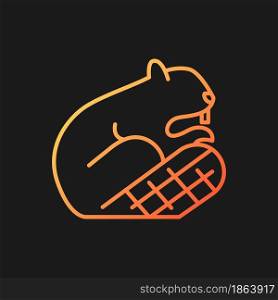 Beaver gradient vector icon for dark theme. Symbol of sovereignty. Herbivore and semiaquatic wild animal. Beaver dam. Thin line color symbol. Modern style pictogram. Vector isolated outline drawing. Beaver gradient vector icon for dark theme