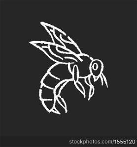 Bee chalk white icon on black background. Small flying insect with sting. Beekeeping, apiculture. Honeybee, flower pollinating bug. Wasp, hornet, bumblebee isolated vector chalkboard illustration. Bee chalk white icon on black background