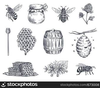 Bee engraving. Honey bees, beekeeping farm and honeyed honeycomb vintage hand drawn ink logotype. Honey spoon or jar, hive and wasp insect engraved. Vector illustration isolated symbols set. Bee engraving. Honey bees, beekeeping farm and honeyed honeycomb vintage hand drawn vector illustration set