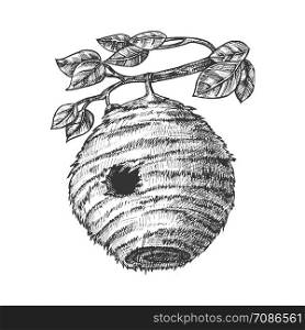 Bee Hive House Of Wild Insect On Branch Vector. Engraved Organic Nature Wax Bee Home Beehive With Circular Entrance For Flying Animal Colony On Leaves Tree. Monochrome Cartoon Illustration. Bee Hive House Of Wild Insect On Branch Vector