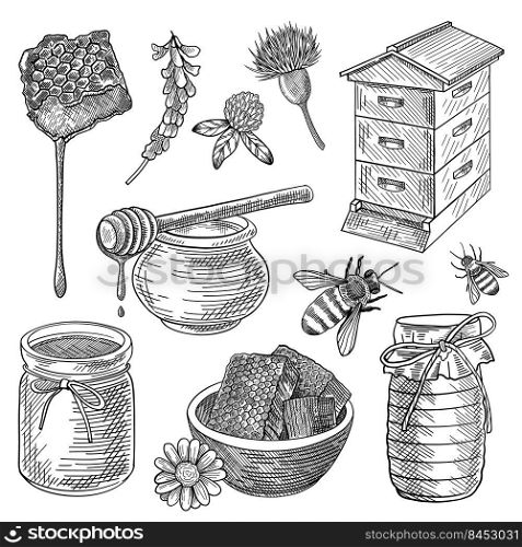 Bee, honey in jar, beehive, honeycomb, spoon, flowers, set. Organic food vector illustration. Hand drawn elements collection. Beekeeping and apiculture concept