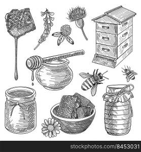 Bee, honey in jar, beehive, honeycomb, spoon, flowers, set. Organic food vector illustration. Hand drawn elements collection. Beekeeping and apiculture concept