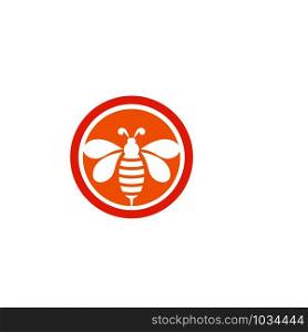 Bee icon Vector Illustration design Logo template