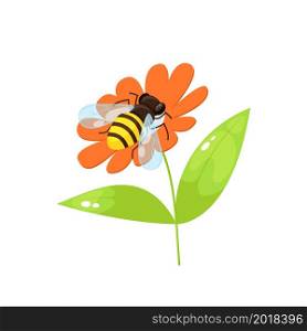 Bee in cartoon style sitting on flower on white background