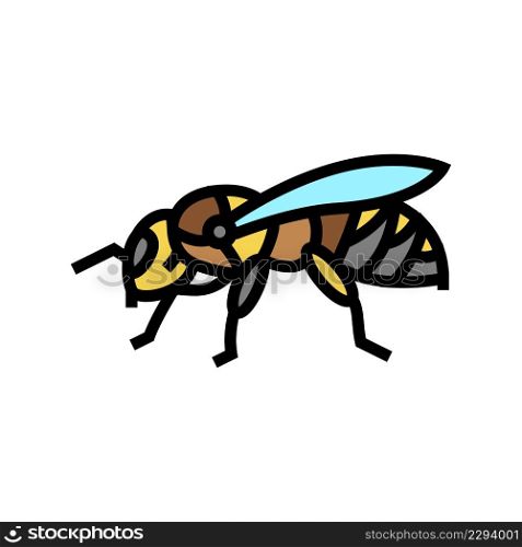 bee insect color icon vector. bee insect sign. isolated symbol illustration. bee insect color icon vector illustration