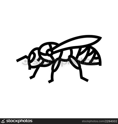 bee insect line icon vector. bee insect sign. isolated contour symbol black illustration. bee insect line icon vector illustration