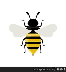 Bee isolated on white background. Wasp flat icon. Insect concept. Wildlife, entomology. Vector stock