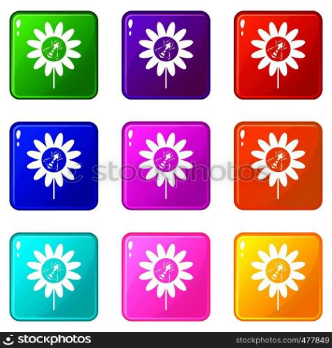 Bee on flower icons of 9 color set isolated vector illustration. Bee on flower set 9