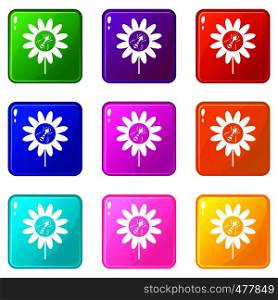 Bee on flower icons of 9 color set isolated vector illustration. Bee on flower set 9