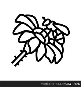 bee spring flower line icon vector. bee spring flower sign. isolated contour symbol black illustration. bee spring flower line icon vector illustration