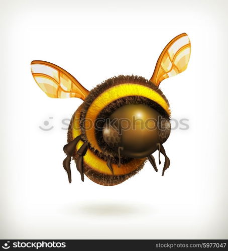 Bee vector icon