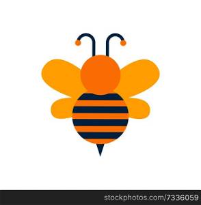 Bee with wings and stripes, antenna and bee with ornaments on body, insect with wings able to fly vector illustration isolated on white background. Bee with Wings and Stripes Vector Illustration