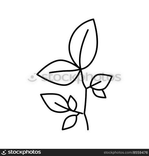 beech leaf line icon vector. beech leaf sign. isolated contour symbol black illustration. beech leaf line icon vector illustration
