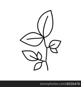 beech leaf line icon vector. beech leaf sign. isolated contour symbol black illustration. beech leaf line icon vector illustration