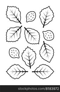 Beech leaves and beech fruits vector line icons. Nature and ecology. Beech, leaf, plant, vector, icons, drawing. Isolated icon of leaves beech for websites, decor and more on white background.. Beech leaves and beech fruits vector line icons. Nature and ecology. Isolated icon of leaves beech on white background.