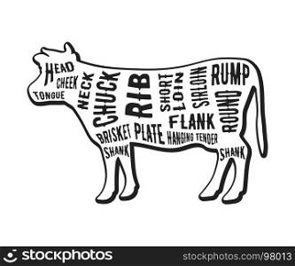 Beef cuts template. Butcher guide isolated on white background. Vector illustration. Beef cuts template
