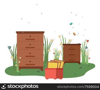 Beekeeping and agriculture vector, utilities for apiray flying bees and wax, honey contemporary farming with tools, grass with flowers and flourishing bloom. Tools for honey apiary. Drawers and Cabinets with Flying Bees Agriculture