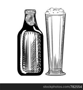 Beer bottle and glass. Engraving style. Hand drawn vector illustration isolated on white background.. Beer bottle and glass. Engraving style illustration