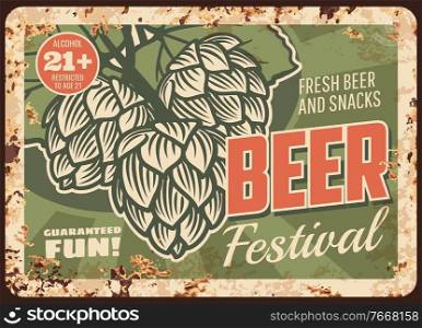 Beer festival rusty metal plate, vector draught craft beer brewing traditions and hop leaves, brewery and brewing house fest vintage rust tin sign retro poster, ferruginous card with age restriction. Beer festival rusty plate, vector craft brewing