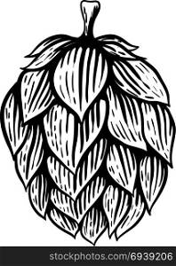 Beer hop illustration in engraving style isolated on white background. Design element for logo, label, emblem, sign, poster, label. Vector illustration