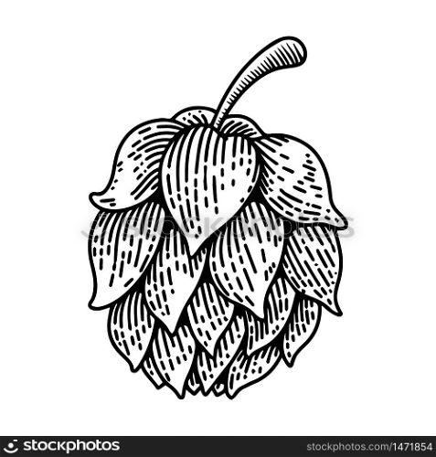Beer hop illustration on white background. Design element for logo, label, emblem, sign. Vector illustration