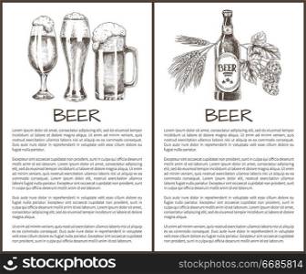 Beer objects set hand drawn vector sketches. Full tumblers with flowing foam and closed bottle, with hop and barley vintage template for bar menu. Vector Beer Object in Ink Hand Drawn Style Sketch