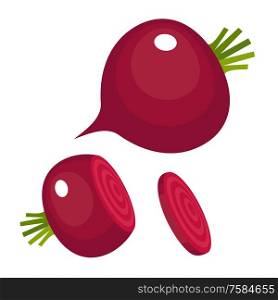 Beet on a white background. Vector illustration