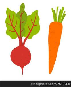 Beet root and carrot vegetable isolated. Vector fresh veggies with green leaves, healthy organic food. Harvest of crop, farming and agriculture concept. Beet Root and Carrot Vegetables. Vector Veggies