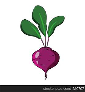 Beet with leaves Vector illustration. Red Beet flat style logo icon. Healthy food design consept. Beet with leaves Vector illustration. Red Beet flat style logo icon