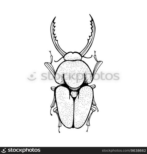 Beetle black and white sketching Royalty Free Vector Image