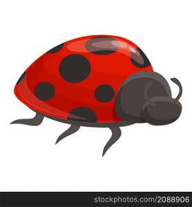 Beetle bug icon cartoon vector. Ladybug insect. Spring ladybird. Beetle bug icon cartoon vector. Ladybug insect