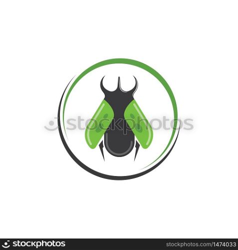 beetle icon vector illustration design template