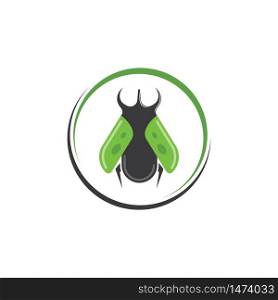 beetle icon vector illustration design template