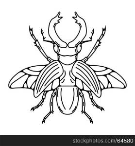 Beetle illustration isolated on white background. Vector illustration