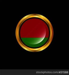 Belarus flag Golden button