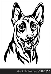 Belgian shepherd black contour portrait. Dog head in front view vector illustration isolated on white. For decoration, design, print, poster, postcard, sticker, t-shirt, cricut, tattoo and embroidery. Belgian shepherd vector black contour portrait vector