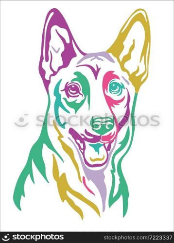 Belgian shepherd color contour portrait. Dog head in front view vector illustration isolated on white. For decoration, design, print, poster, postcard, sticker, t-shirt, cricut, tattoo and embroidery. Belgian shepherd vector color contour portrait vector