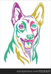 Belgian shepherd color contour portrait. Dog head in front view vector illustration isolated on white. For decoration, design, print, poster, postcard, sticker, t-shirt, cricut, tattoo and embroidery. Belgian shepherd vector color contour portrait vector